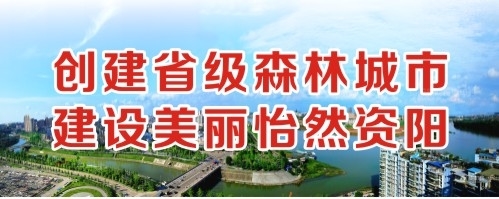 淫骚逼视频观看创建省级森林城市 建设美丽怡然资阳